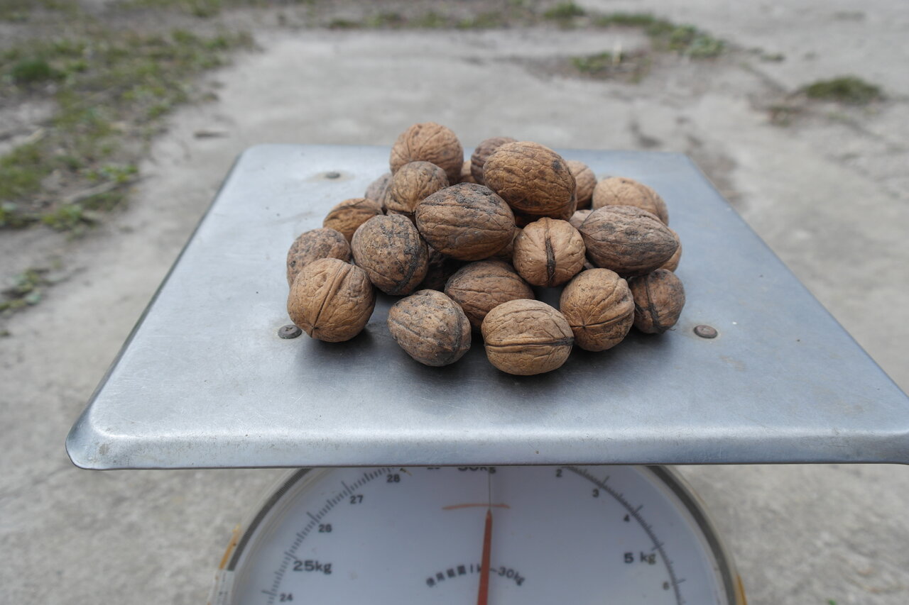 Walnoten (250 gram)