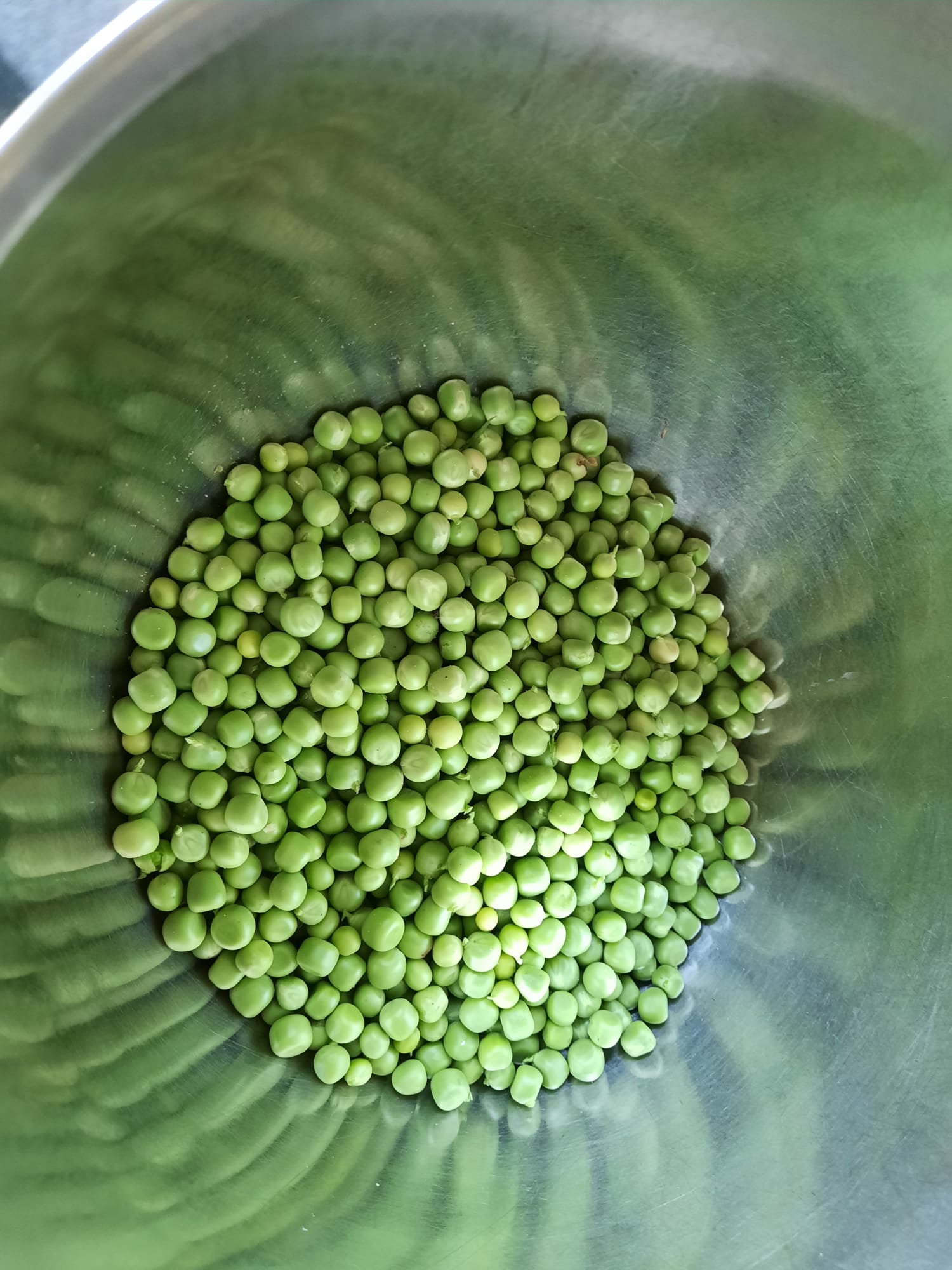 Doperwten akkerbouw (1kg) – Bio