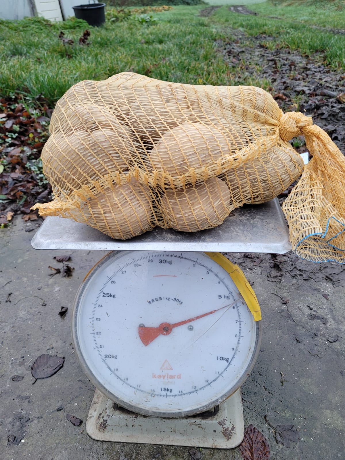 Aardappels Connect (5 kg) – Bio