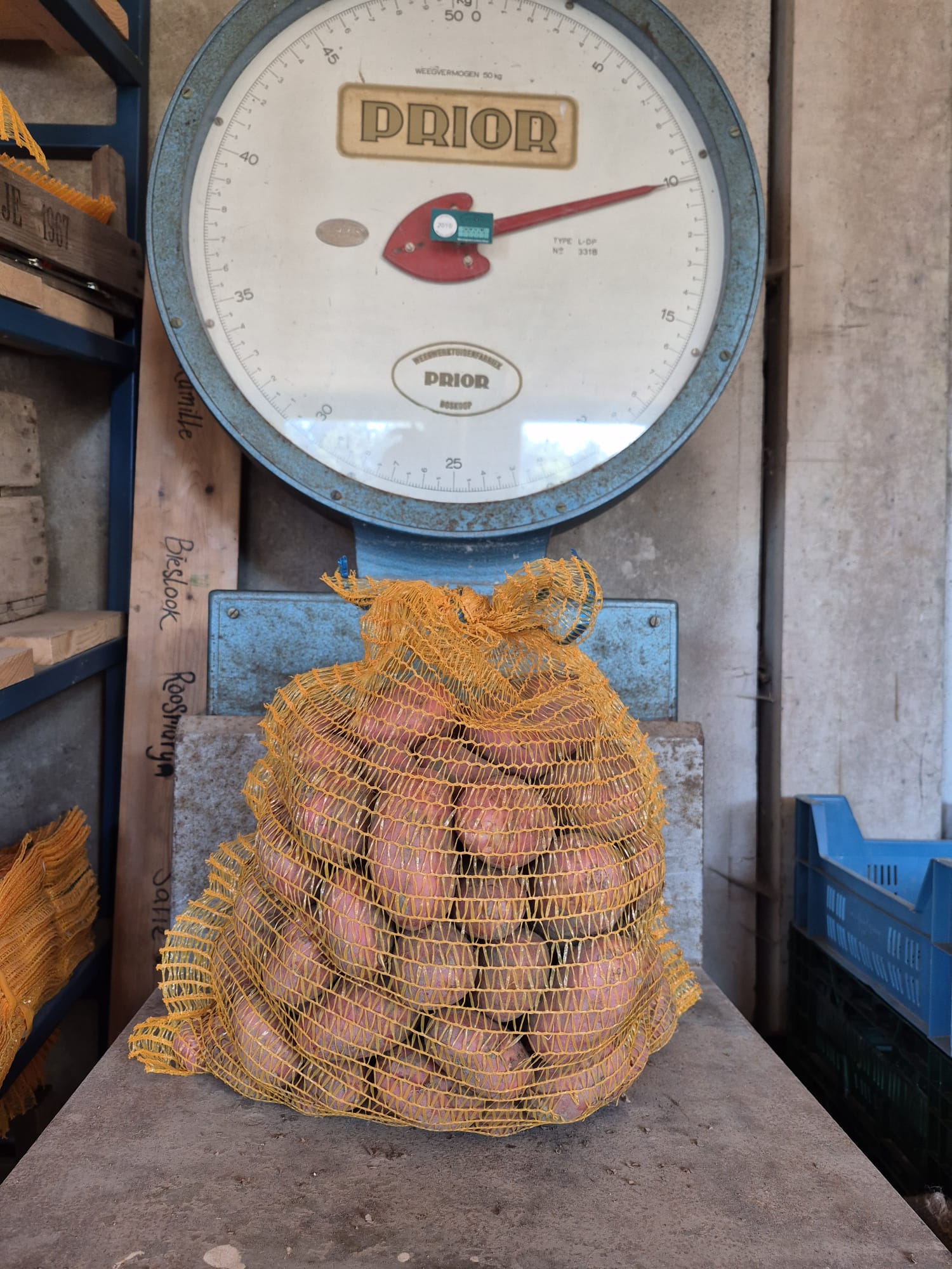 Aardappels Reza (10 kg) – Bio