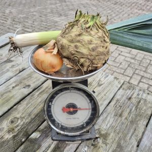 Prei knolselderij soep (4 personen) bio